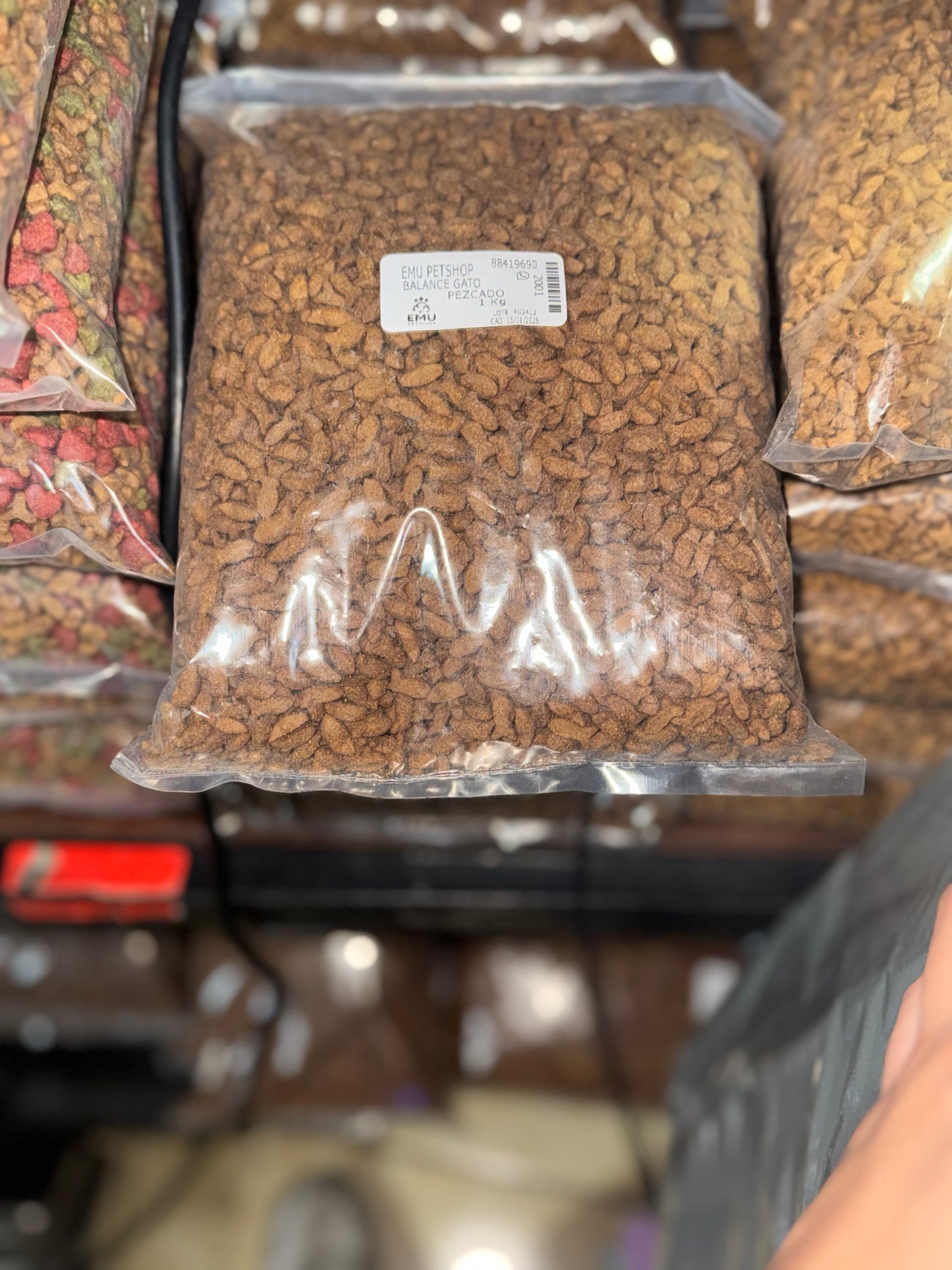 Balance Gato Pescado