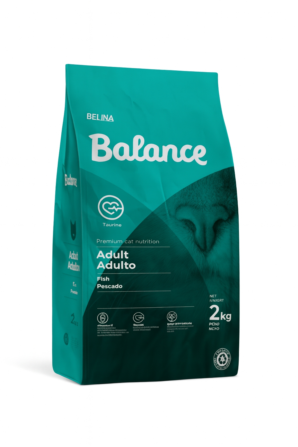 Balance Gato Pescado