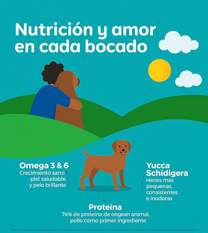 Balance Senior Raza Mediana-Grande