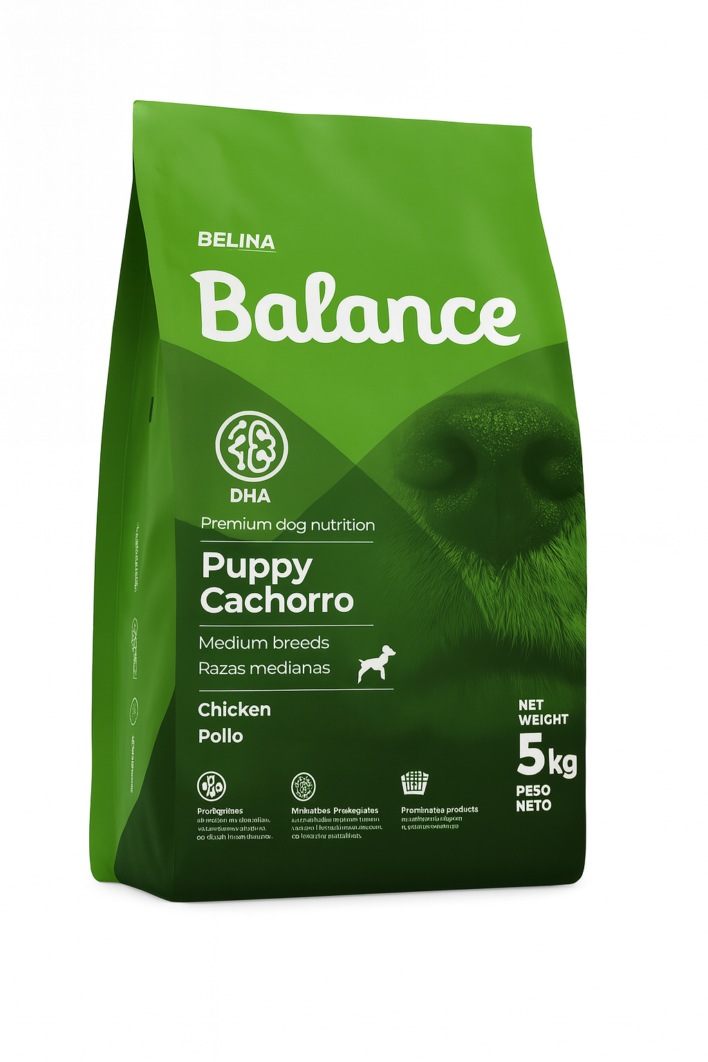 Balance Cachorro Raza Mediana